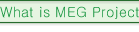 WHAT IS MEG PROJECT